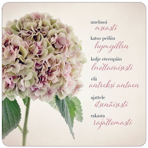 2-osainen neliökortti Anna-Mari West