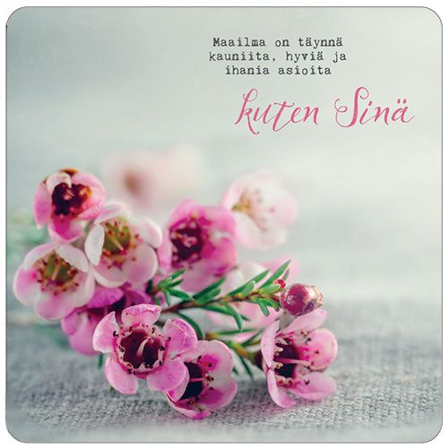 2-osainen neliökortti Anna-Mari West