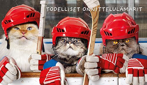 2-osainen hupikortti