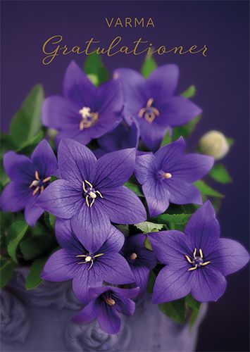 Postikortti onnittelu ruotsinkielinen