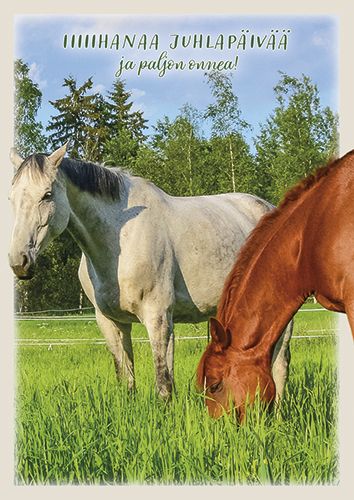 Postikortti hevonen