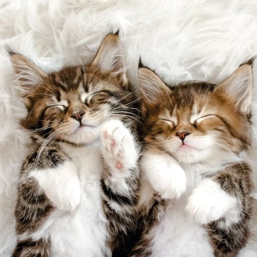 2-osainen neliökortti