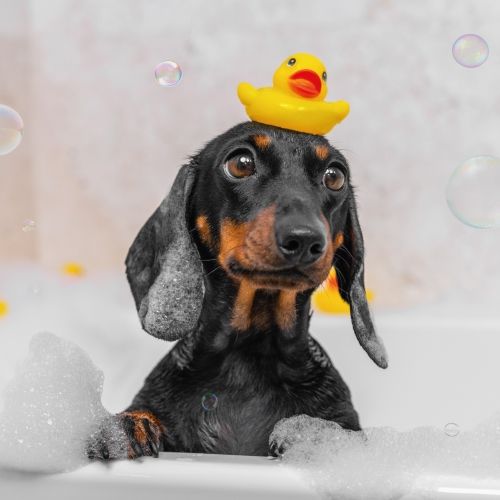 2-osainen neliökortti