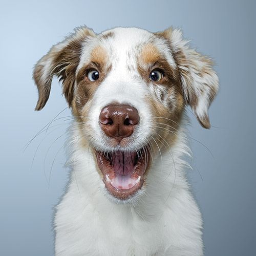 2-osainen neliökortti