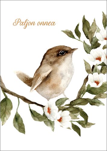 Postikortti Elisa Parto