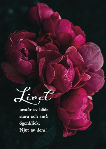 Postikortti ruotsinkielinen