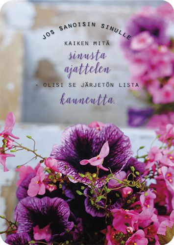 Postikortti Ilona Pietiläinen