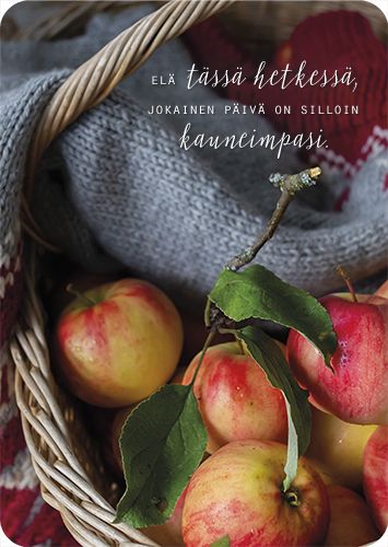 Postikortti Ilona Pietiläinen