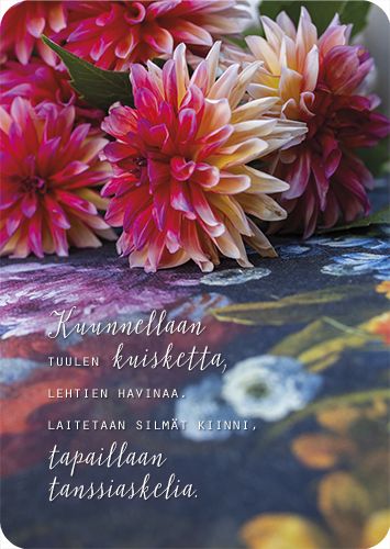 Postikortti Ilona Pietiläinen