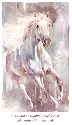 2-osainen kortti Hanna-Maria Mainelakeus