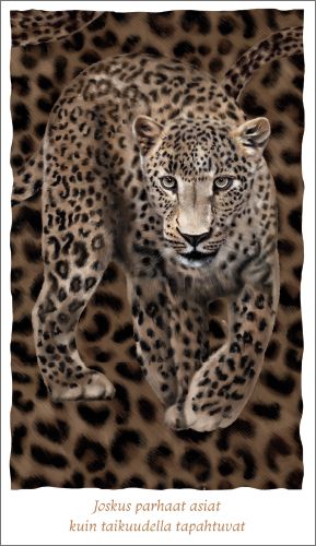 2-osainen kortti Hanna-Maria Mainelakeus