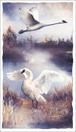 2-osainen kortti Hanna-Maria Mainelakeus