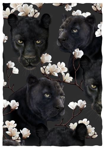 Postikortti Hanna-Maria Mainelakeus