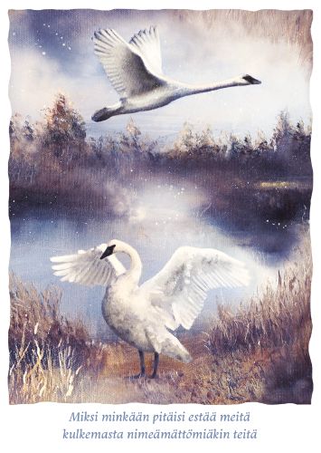 Postikortti Hanna-Maria Mainelakeus