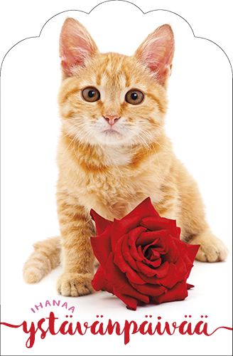 Ystävänpäiväkortti