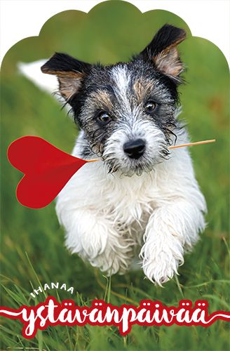 Ystävänpäiväkortti