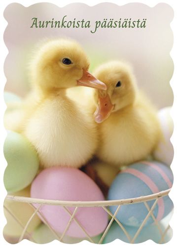 Pääsiäiskortti Hallmark