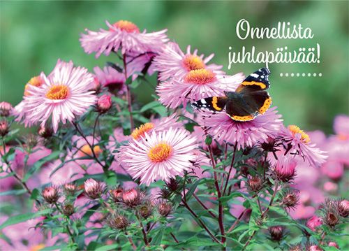 Postikortti onnittelu