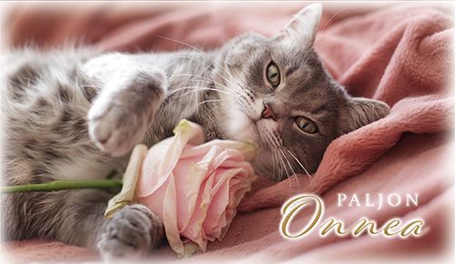 2-osainen onnittelukortti