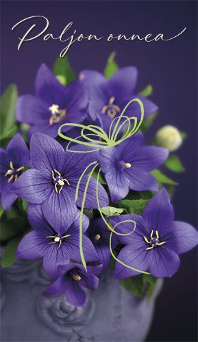 2-osainen onnittelukortti