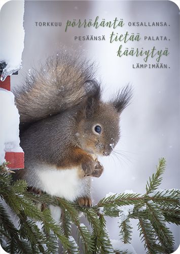 Postikortti Ilona Pietiläinen