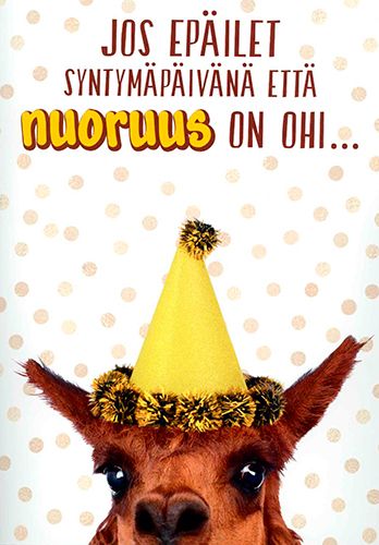 2-osainen äänikortti