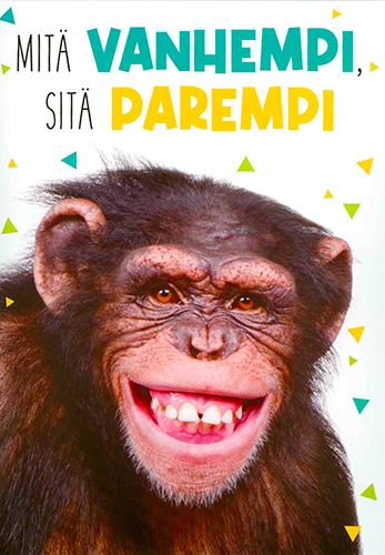 2-osainen äänikortti