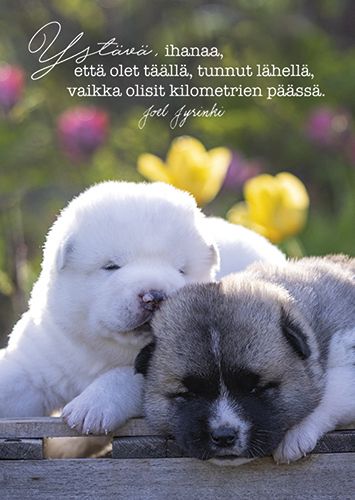 Postikortti Joel Jyrinki