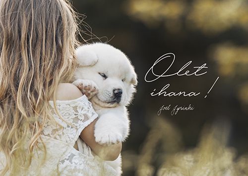 Postikortti Joel Jyrinki