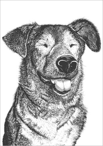 Postikortti Finlayson