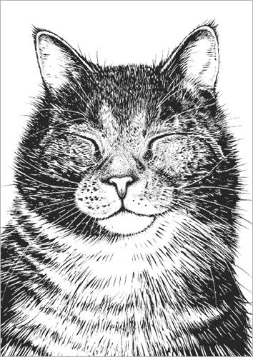 Postikortti Finlayson