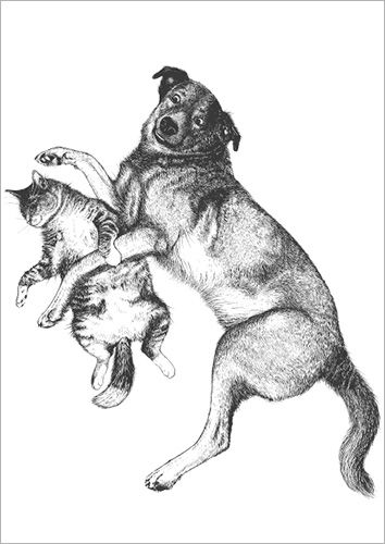 Postikortti Finlayson