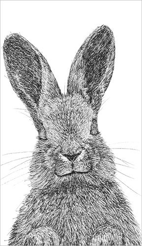 2-osainen kortti Finlayson