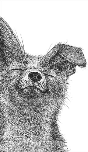 2-osainen kortti Finlayson