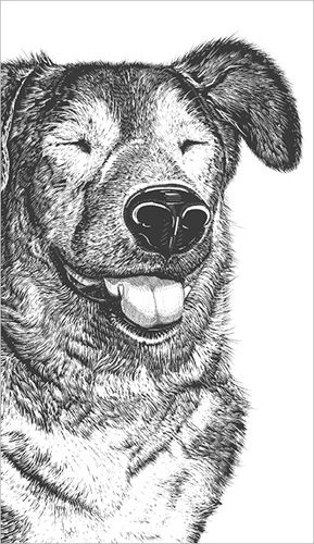 2-osainen kortti Finlayson