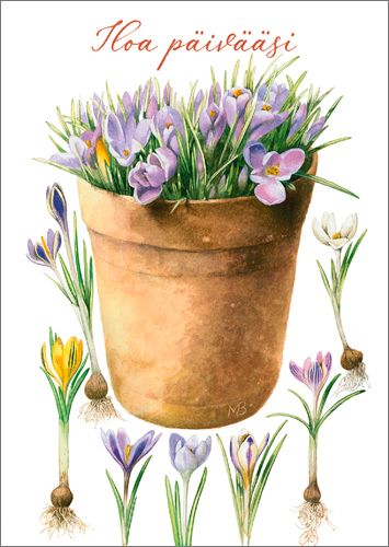 Postikortti Marjolein Bastin