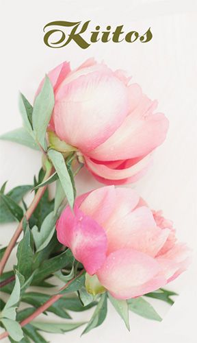 2-osainen kortti kiitos Hallmark