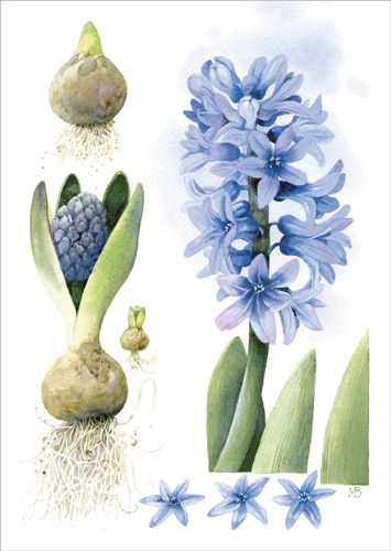 Postikortti Marjolein Bastin