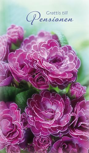 2-osainen eläkekortti ruotsinkielinen