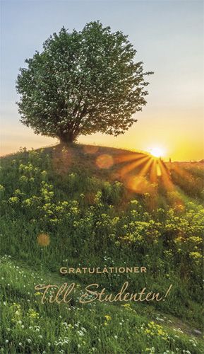 2-osainen ylioppilaskortti ruotsinkielinen