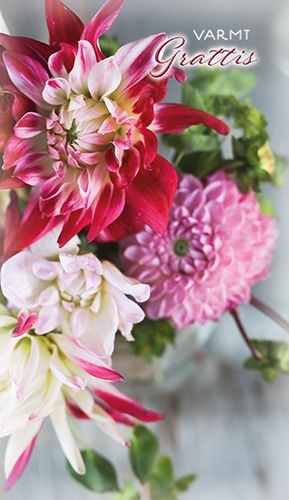 2-osainen onnittelukortti Sari Savela