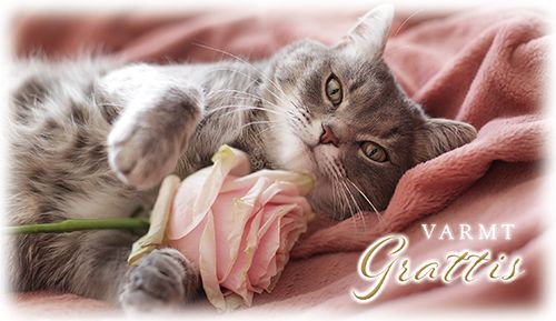 2-os onnittelukortti ruotsinkielinen