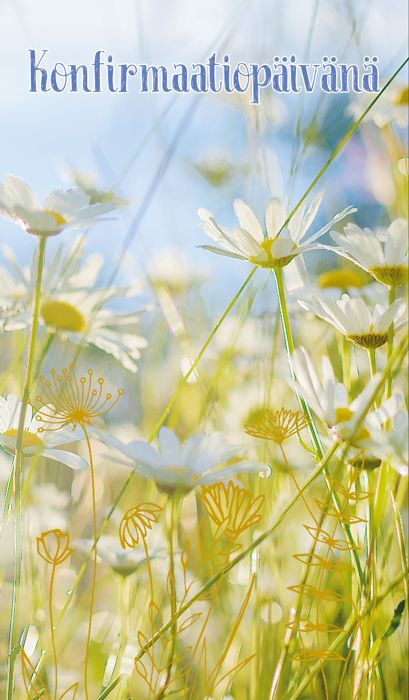 2-osainen rippi rahakuori