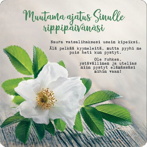 2-osainen rippi neliökortti Anna-Mari West