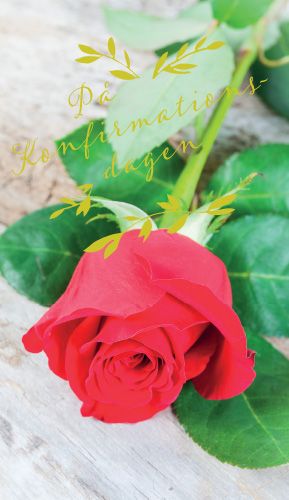 2-osainen rippikortti ruotsinkielinen Jorma Jämsén