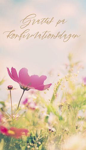 2-osainen rippikortti ruotsinkielinen Hallmark