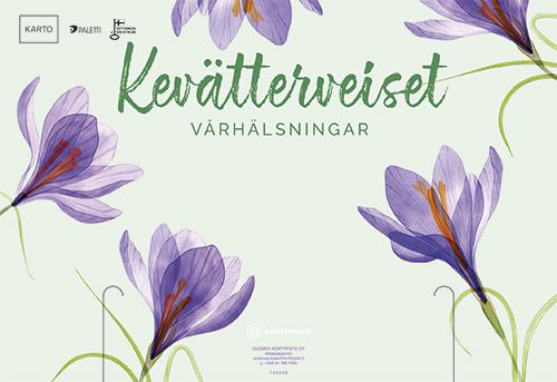 Telineopaste 55x37 cm