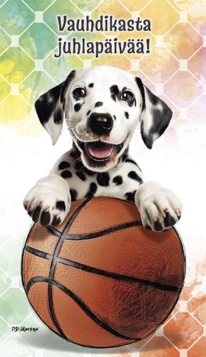 2-osainen lasten onnittelukortti