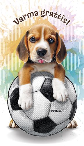 2-osainen lasten onnittelukortti ruotsinkielinen