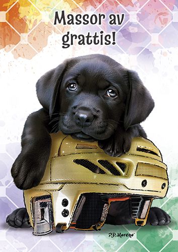 Postikortti lasten onnittelu ruotsinkielinen